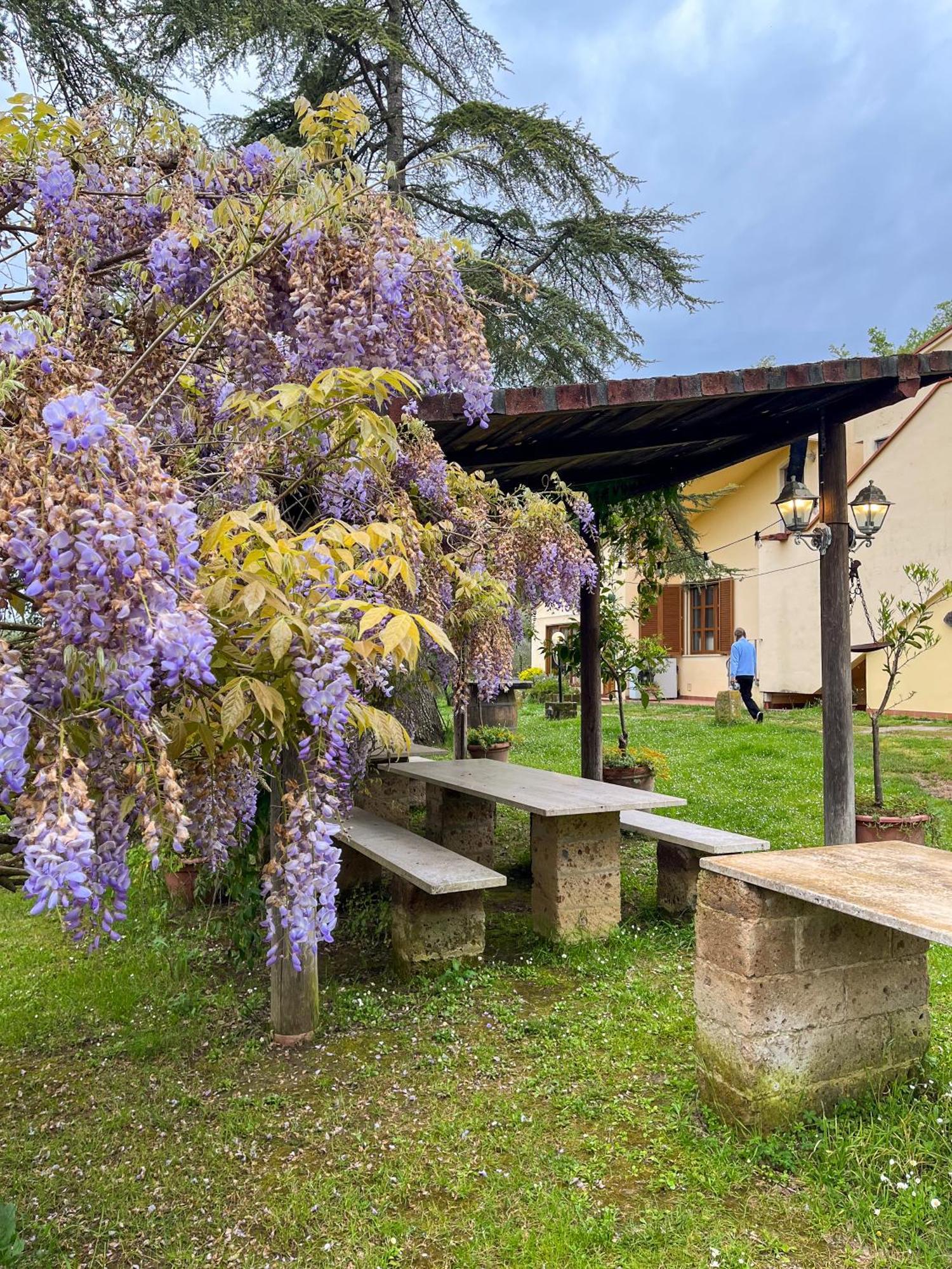 Tuscany Time Montefoscoli Экстерьер фото